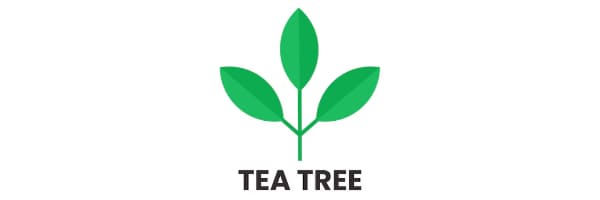 Tea Tree